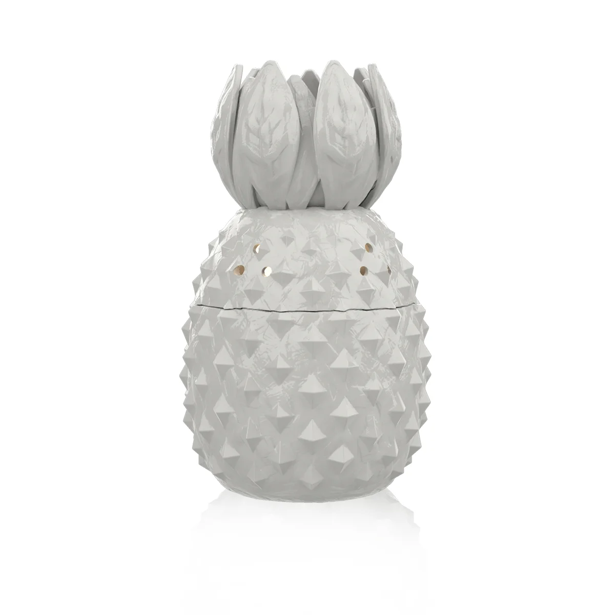 PINEAPPLE 1.jpg