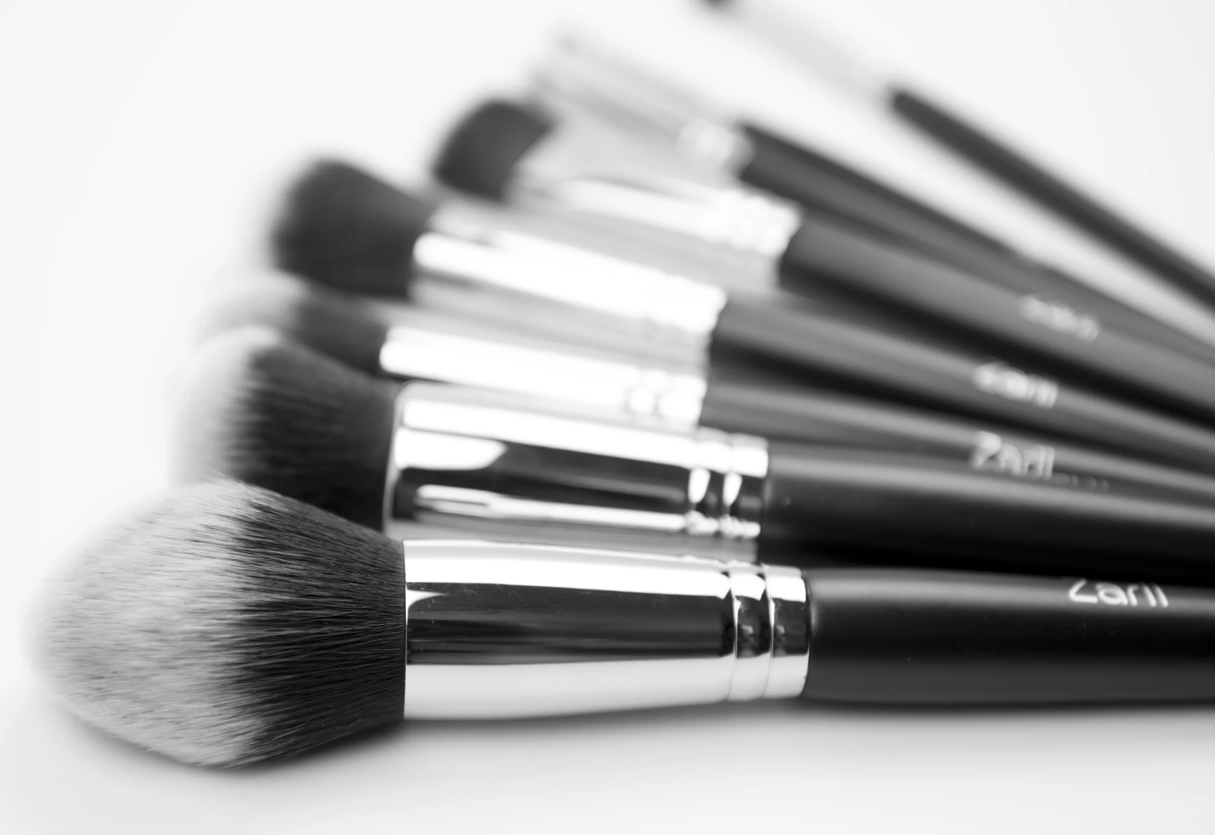 BRUSH CLOSEUP 4.jpg