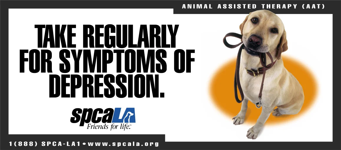 spcaLA_depression.jpg