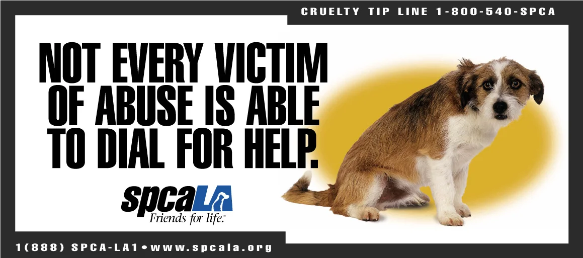 spcaLA_victim.jpg