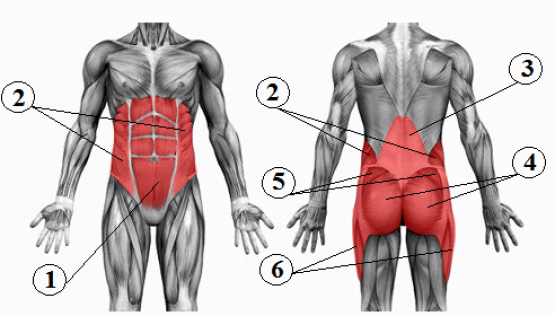core-anatomy.png