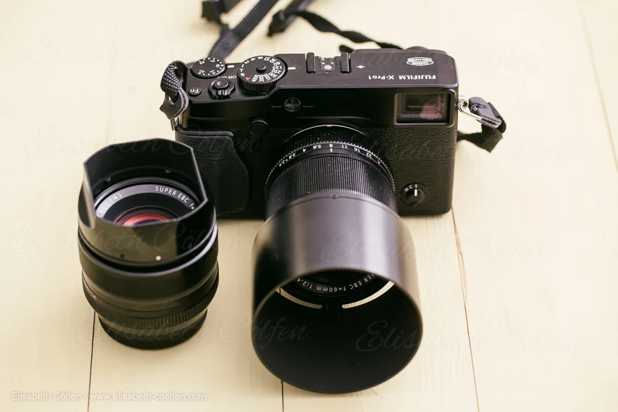 fuji.jpg