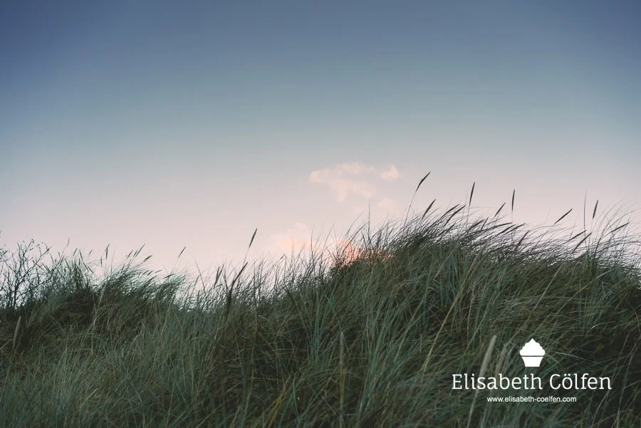 Sunset at the dunes in Denmark