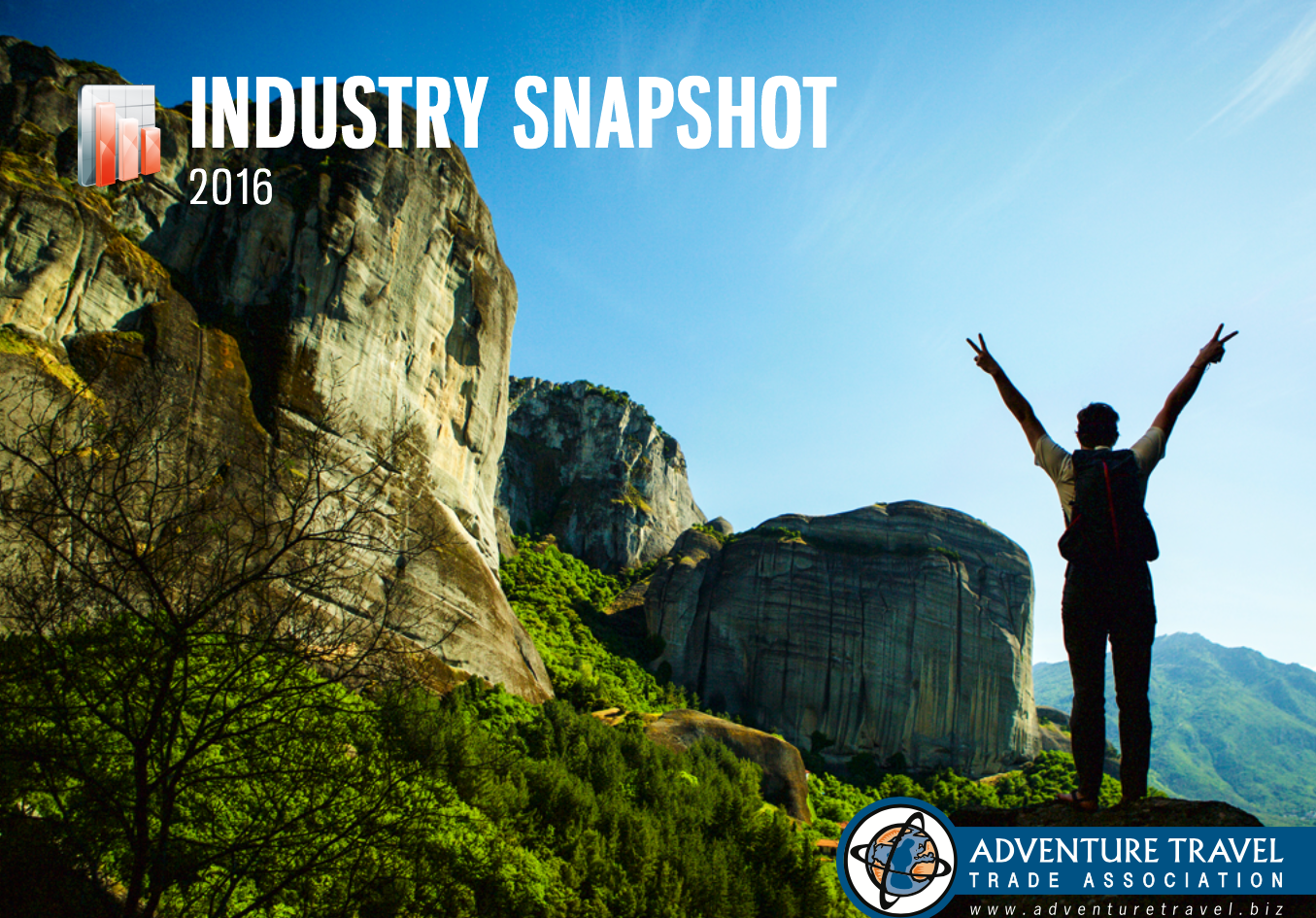 2016 Industry Snapshot