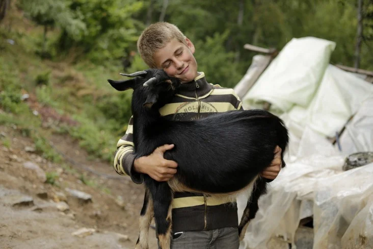 This boy’s family herds livestock in the summer in Livadhet e Gjarpërit, Valbona valley, Albania, where they also provide accommodation to trekkers along the Via Dinarica. - Elma Okic