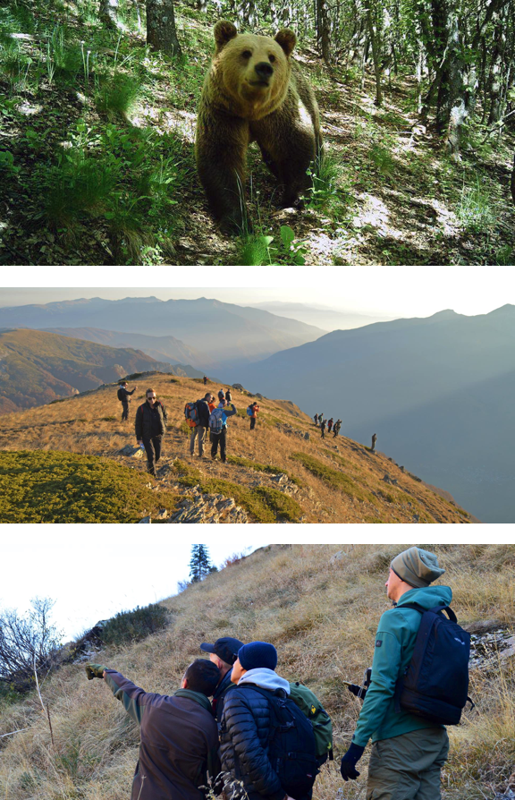 ABOVE (ALL) Tracking the wildlife in Mavrovo and Pelister