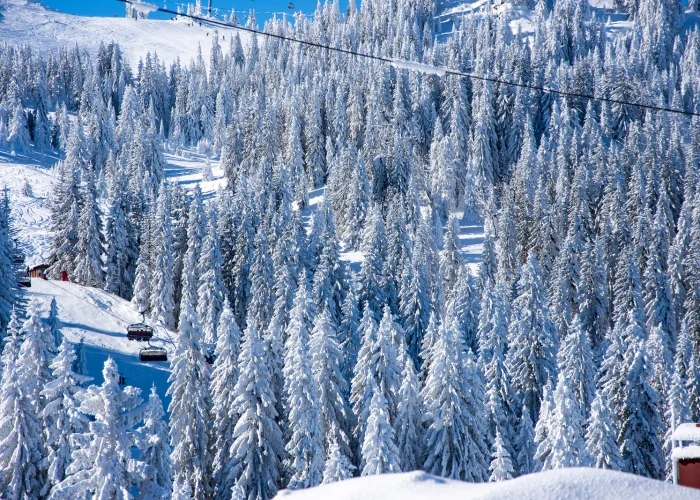 Jahorina near Sarajevo, Bosnia
