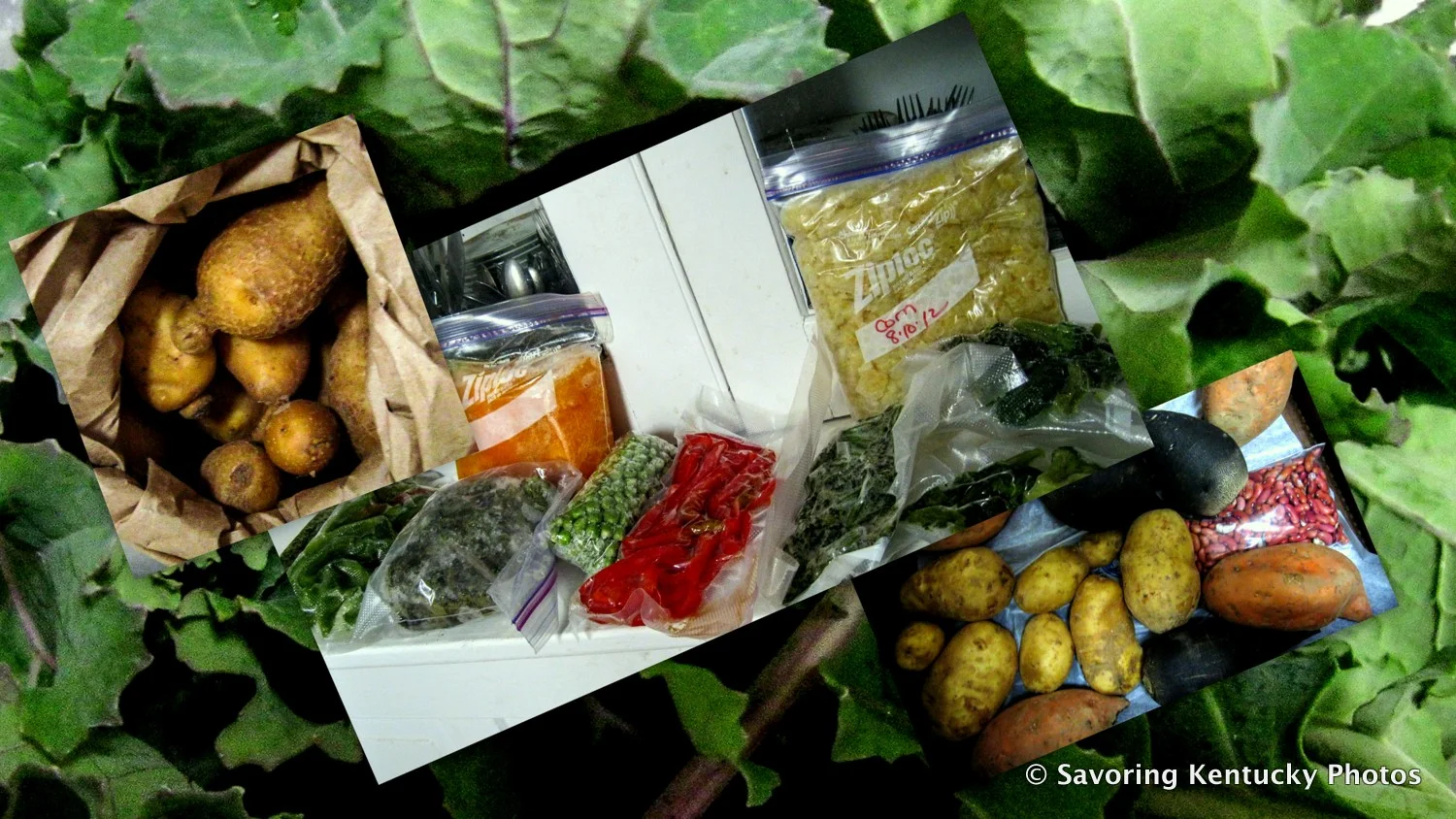 Part of the contents of Elmwood Stock Farm's Winter CSA share, March 2, 2013