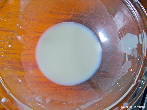 saltedcaramelicecream003.jpg