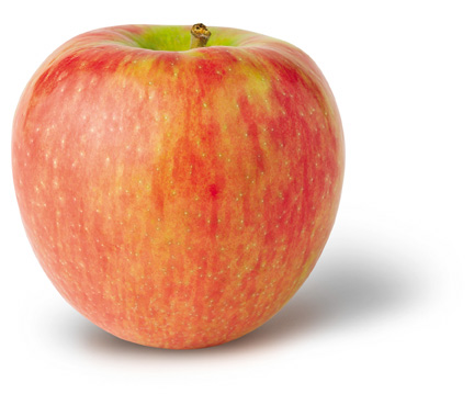 Honey Crisp Apple
