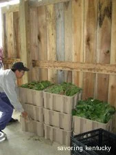 Packing Shed