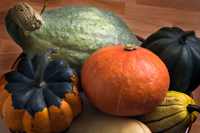 Winter Squashes