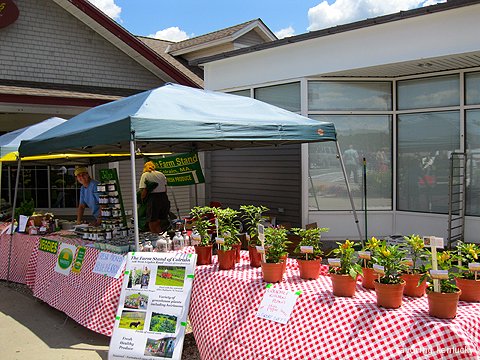 Fresh local vegetables and plants from The Farm Stand at Colrain, sold at Lee Plaza East Mass. Turnpike rest area