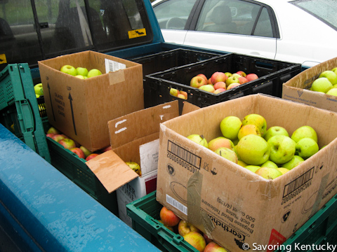 111028_reedvalleygoodness_002.jpg