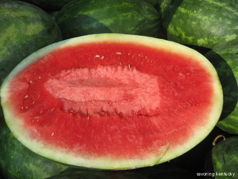Watermelon from Casey County, Kentucky