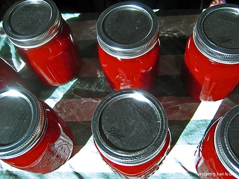 Finished, canned ketchup