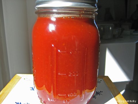 Solo Homemade Ketchup