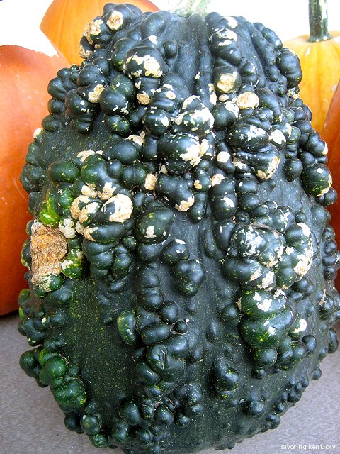 Kentucky gourd