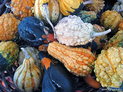 Kentucky gourd