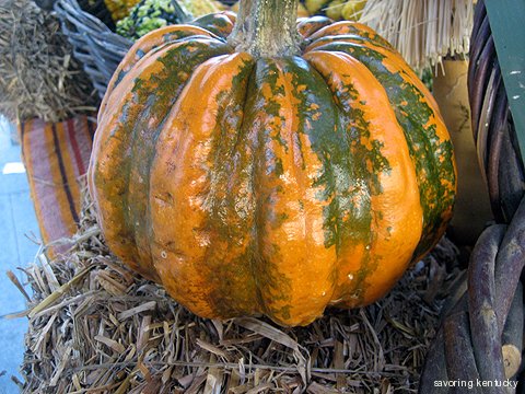 Kentucky gourd