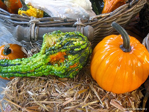Kentucky gourd