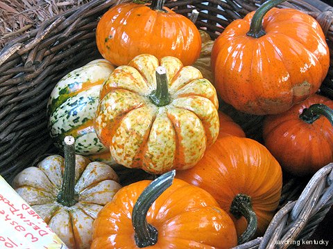 Kentucky gourd