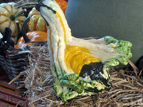 Kentucky gourd