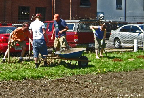Neighbors and Volunteers from Around the USA Plant New Fruits