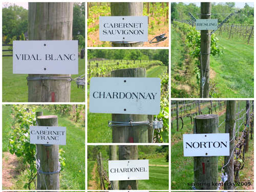 Posts Savoring Kentucky likes: at Equus Run
