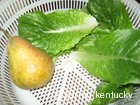 Add a perfect Reed Valley Orchard Pear