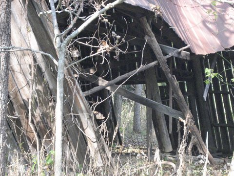 Through the tobacco barn toward the future