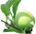 Kentucky Apple