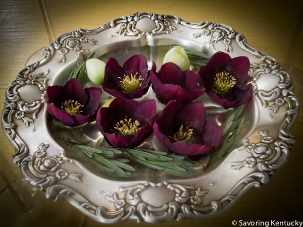 Hellebores and lavender from the Campsie garden, February, 2012