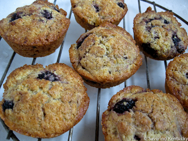 Mulberry Muffins cooling on a rack