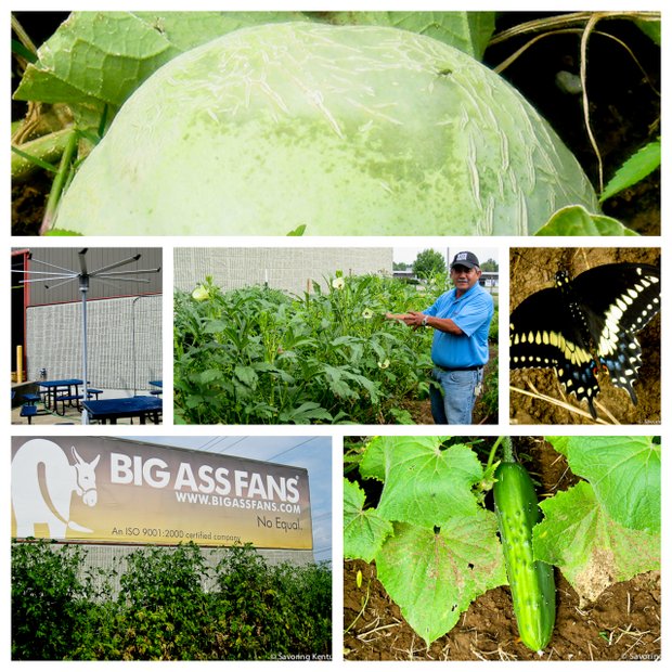 Gardening at Lexington's Big Fan Company