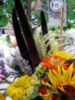 Hazelfield Flowers 3