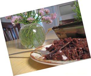 Western Kentucky Chocolate Sheet Cake