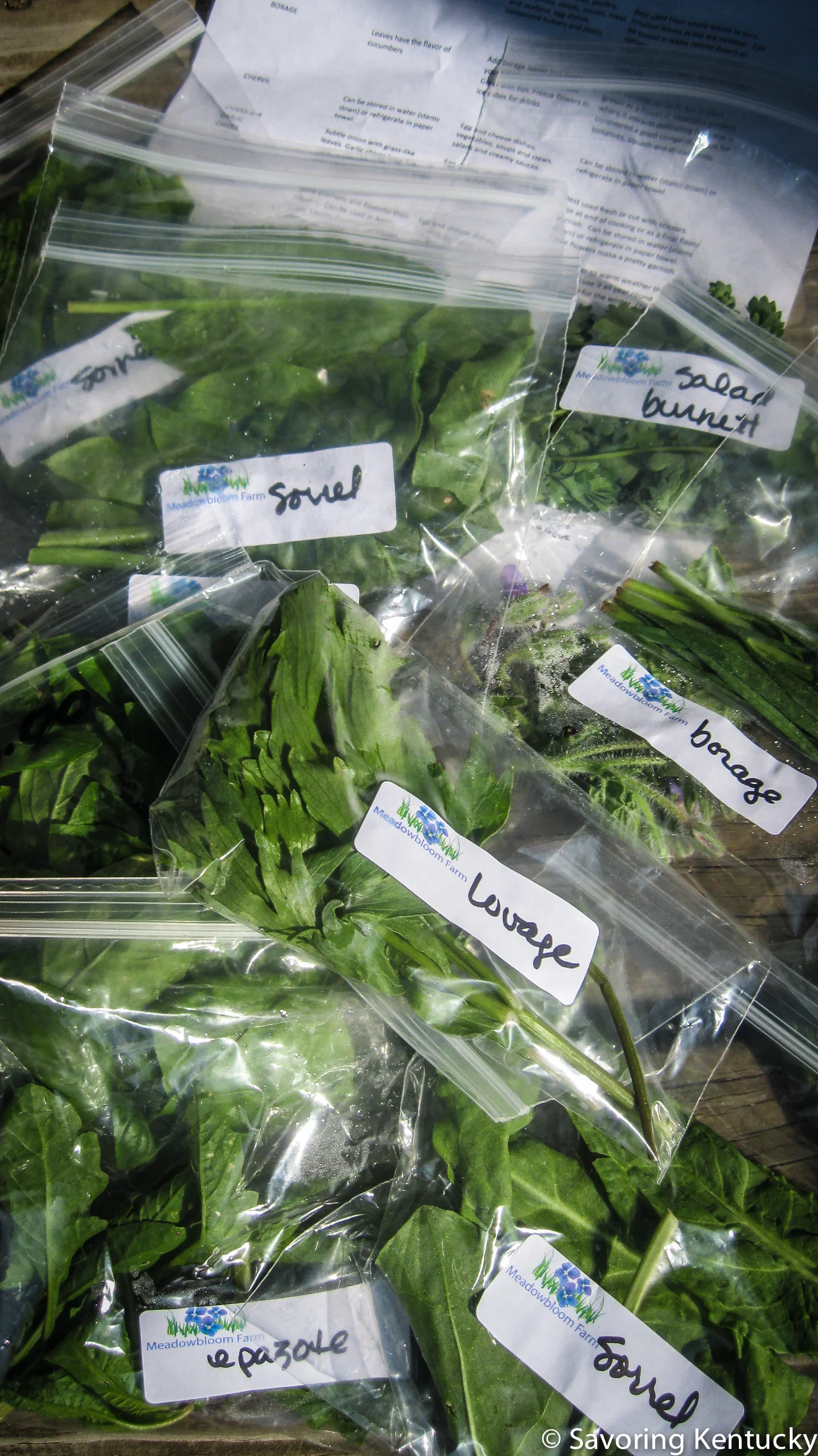 herbs-4.jpg