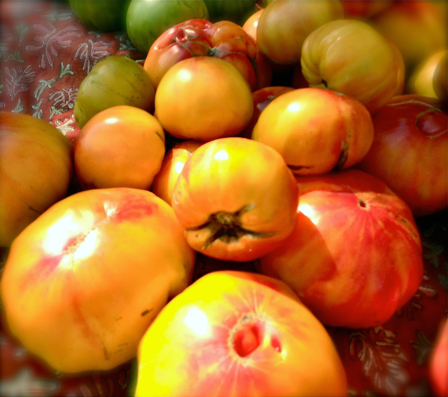 DCtomatoes002.jpg
