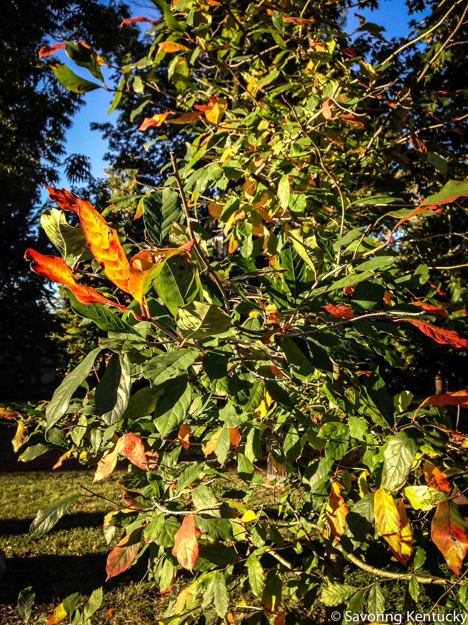 farewelltosummer-2.jpg