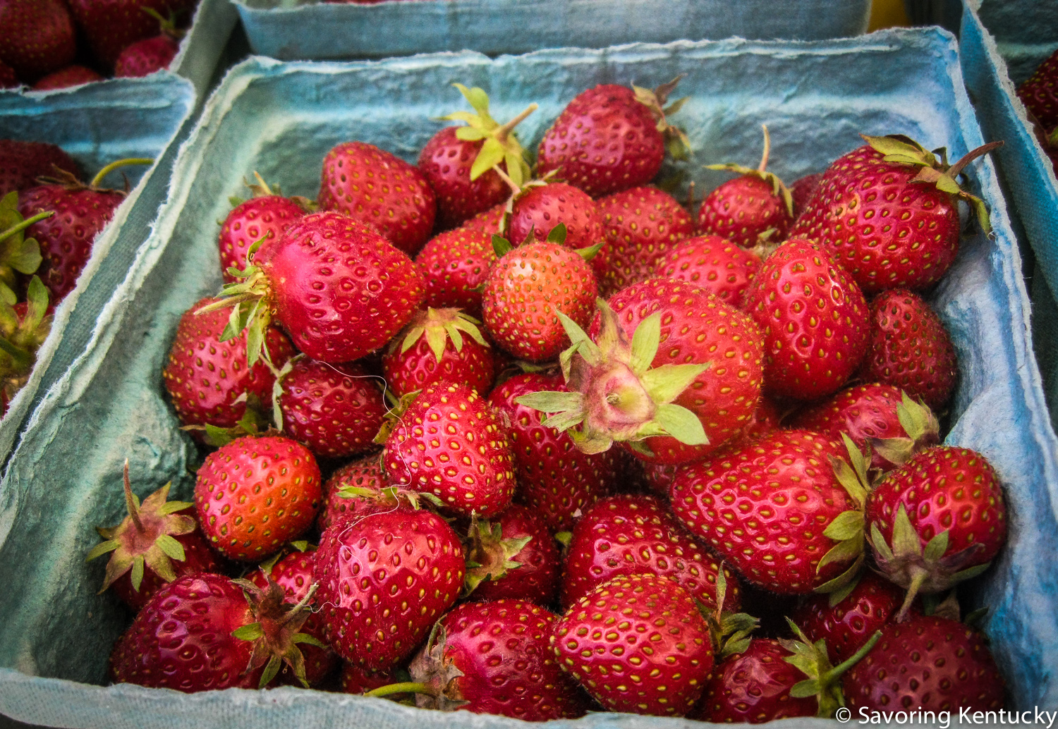 Organic strawberries, Elmwood Stock Farm, Lexington Farmers Market.