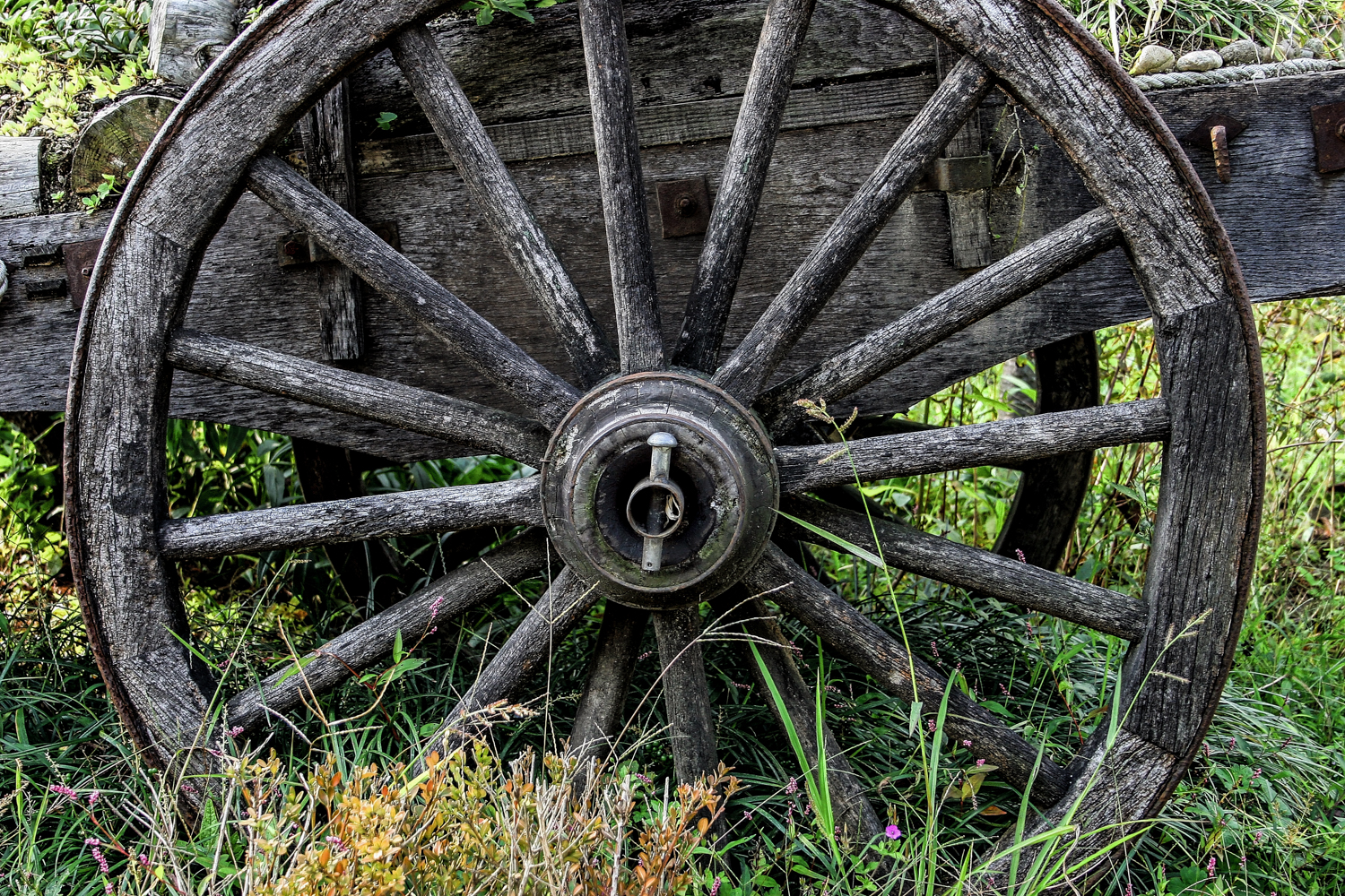 Linchpin, holding the wagon wheel in place. Photo Credit Gina Smith, Dreamtime Stock Photos. Thank you!