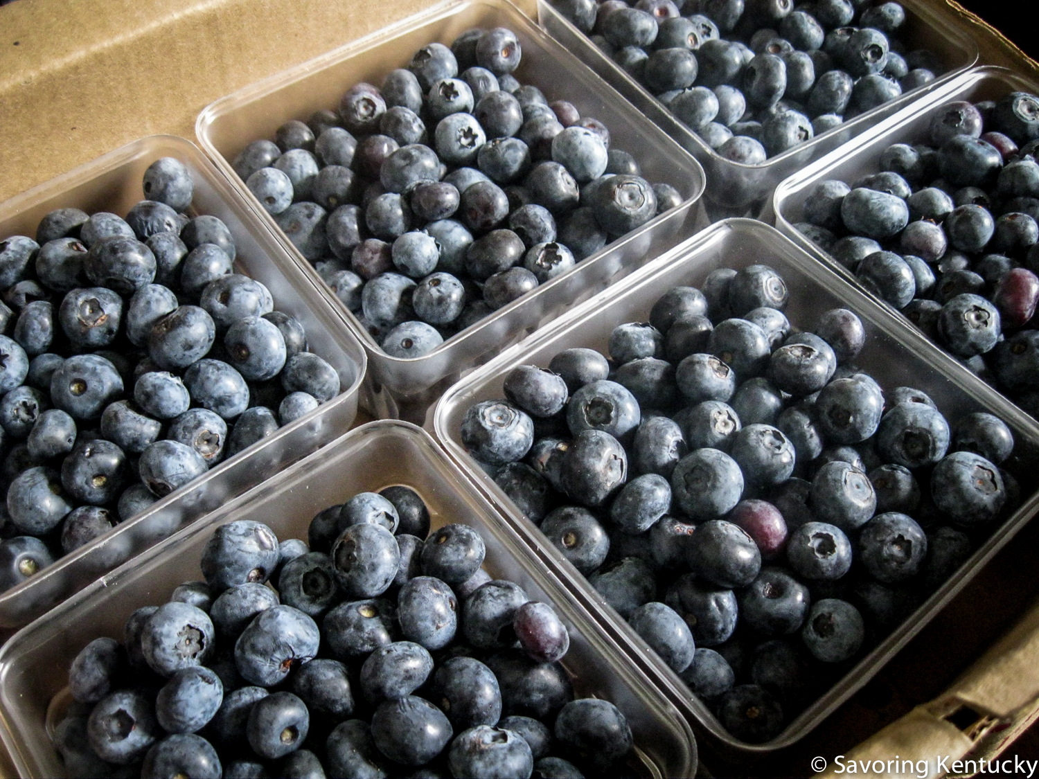 Reed Valley Orchard blueberries, fresh in June, 2014, frozen and delicious in January 2015.