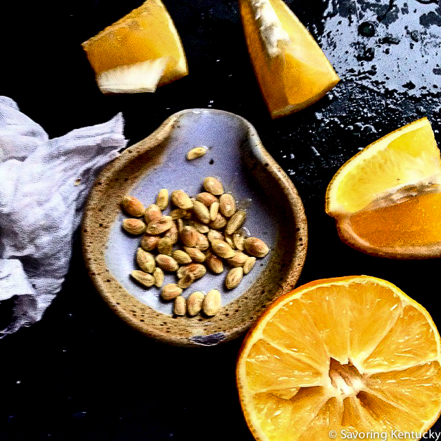 Butter muslin, seeds and flesh of Meyer lemons from a friend's sister's tree in New Orleans, shot in my Kentucky home kitchen. Thank you, KB!