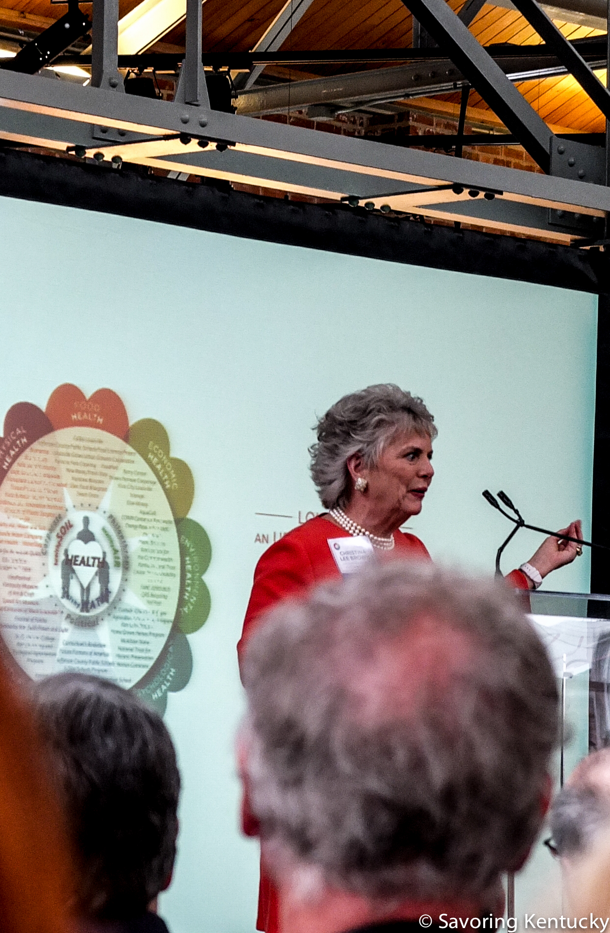 Christina Lee (Christy) Brown kicks off the final day of Louisville's Harmony and Health Initiative event on March 20, 2015. Among many other positive ventures, Brown co-founded the Institute for Healthy Air Water & Soil, which (with partners) presented the event.