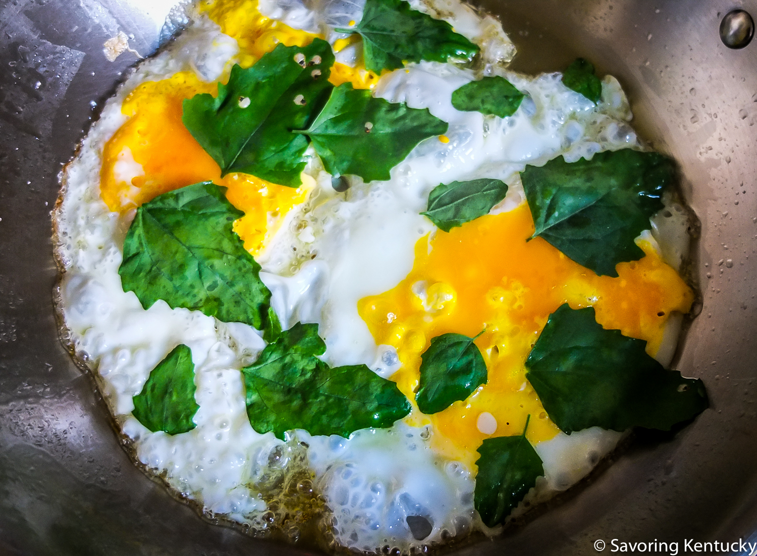 These beautiful eggs are headed toward a gluten-free breakfast sandwich; extra nutrients courtesy of lambsquarters.