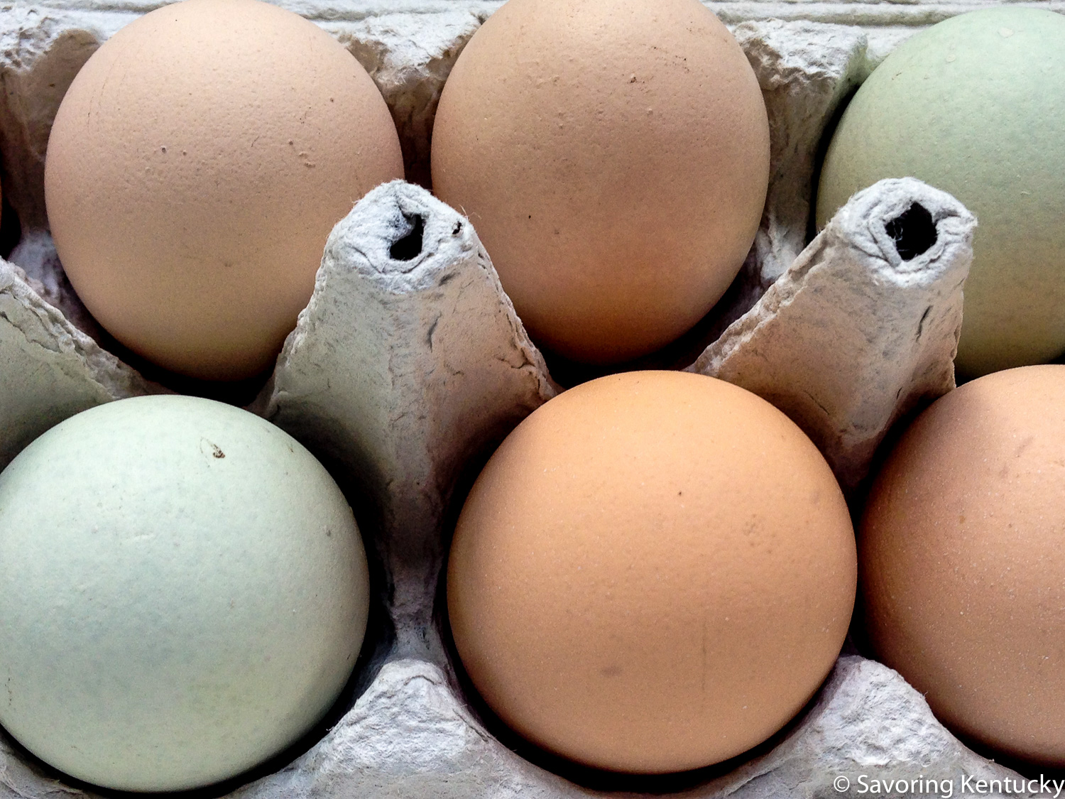 We especially thank four-year old Chicken for the pale turquoise beauties.