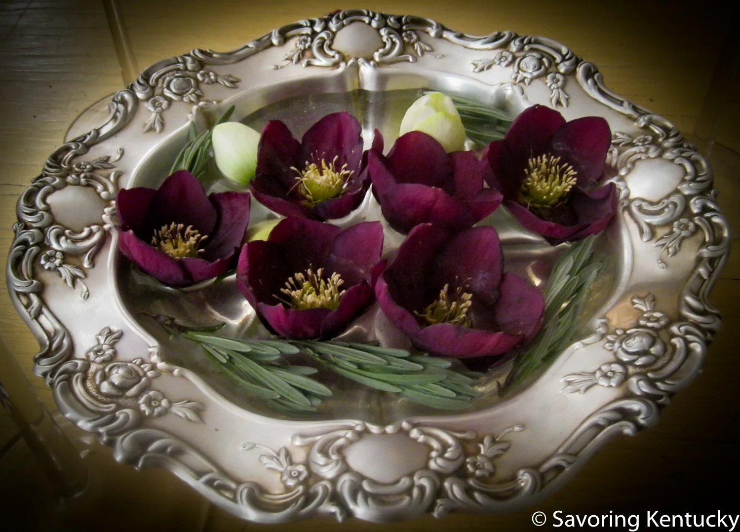 Helleborus blossoms and rosemary from the early 2015 Campsie garden, in a silver wedding bowl