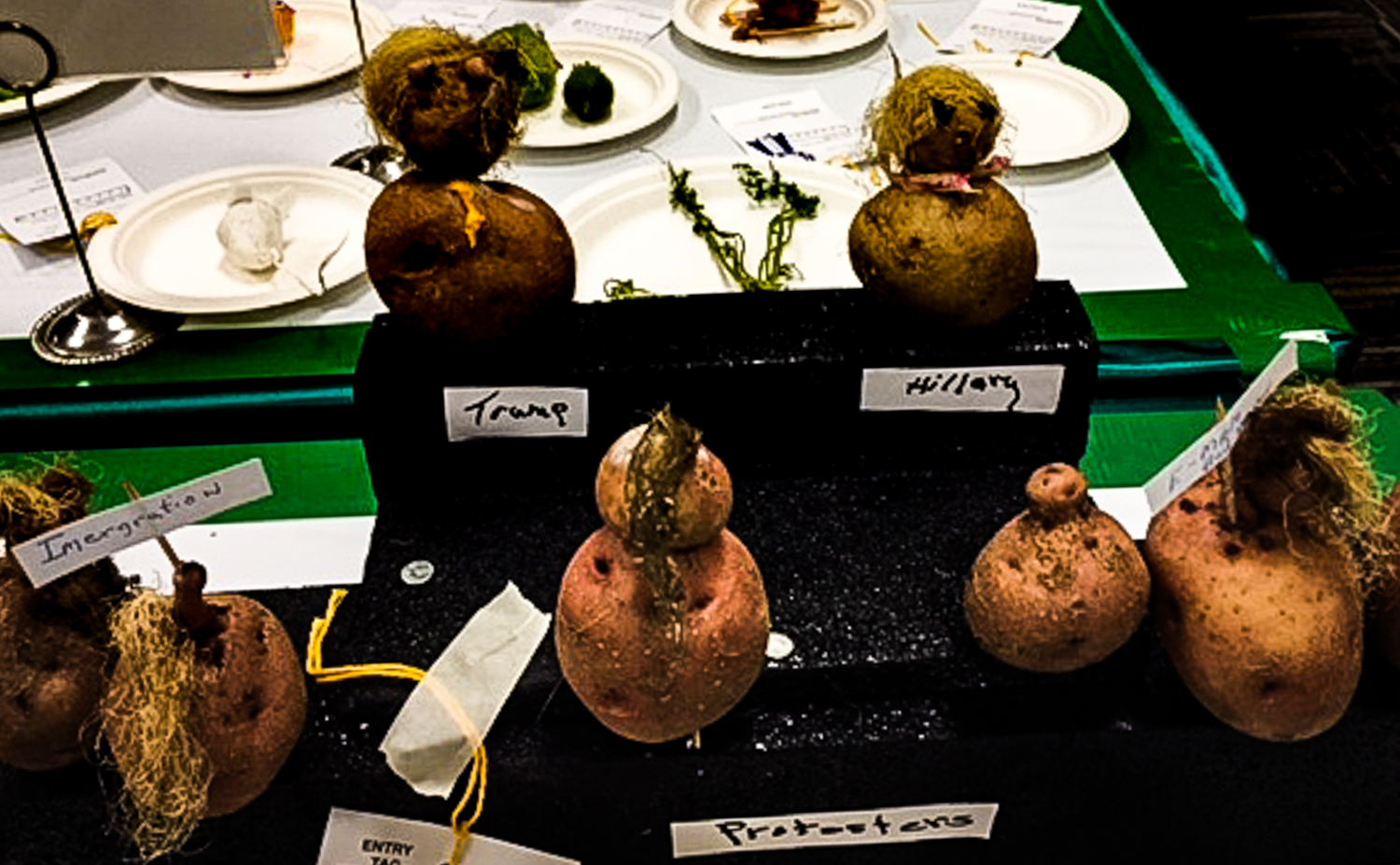 Potato creatures as political contestants and protestors: A Kentucky State Fair "Critters" exhibit. Photo credit: Ouita Michel.