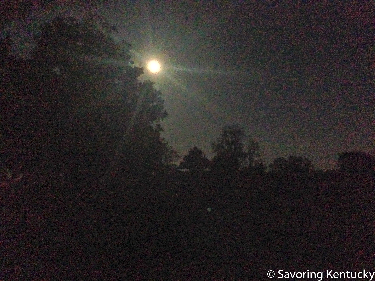 The nearly full moon graced us as the meal ended, topping even the extraordinary dessert.